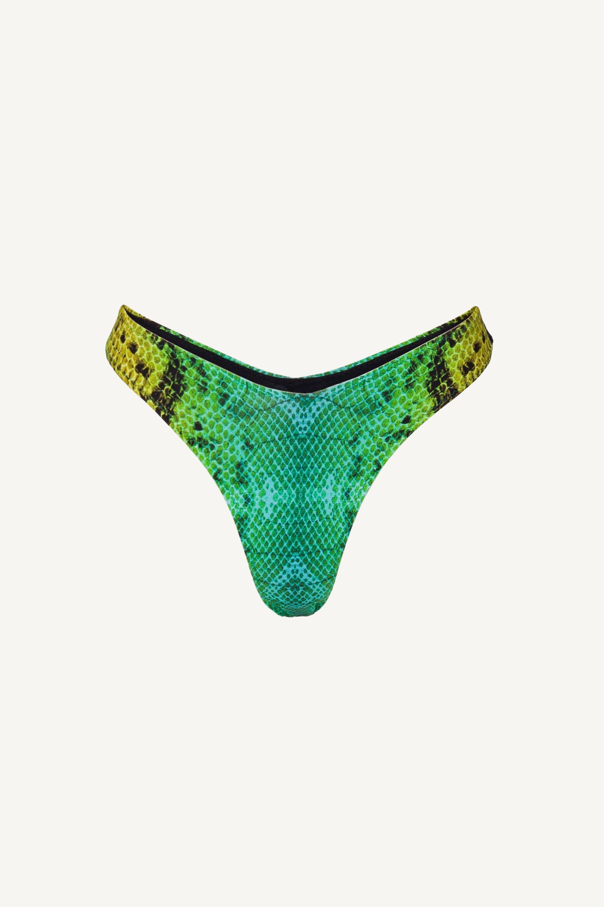 Green Snake V-Cut Bottom